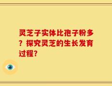 灵芝子实体比孢子粉多？探究灵芝的生长发育过程？