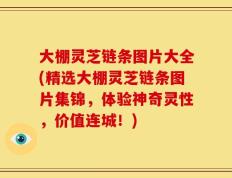 大棚灵芝链条图片大全(精选大棚灵芝链条图片集锦，体验神奇灵性，价值连城！)