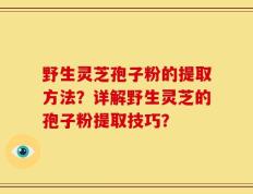 野生灵芝孢子粉的提取方法？详解野生灵芝的孢子粉提取技巧？
