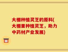 大棚种植灵芝的原料(大棚里种植灵芝，助力中药材产业发展)