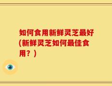 如何食用新鲜灵芝最好(新鲜灵芝如何最佳食用？)