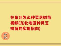 在东北怎么种灵芝树苗视频(东北地区种灵芝树苗的实用指南)