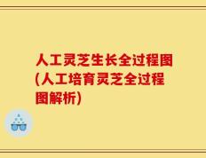 人工灵芝生长全过程图(人工培育灵芝全过程图解析)