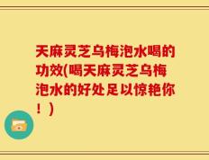 天麻灵芝乌梅泡水喝的功效(喝天麻灵芝乌梅泡水的好处足以惊艳你！)