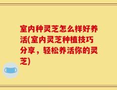 室内种灵芝怎么样好养活(室内灵芝种植技巧分享，轻松养活你的灵芝)