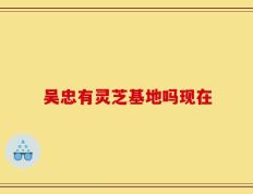 吴忠有灵芝基地吗现在