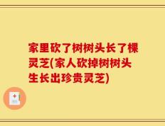 家里砍了树树头长了棵灵芝(家人砍掉树树头生长出珍贵灵芝)