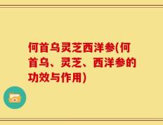 何首乌灵芝西洋参(何首乌、灵芝、西洋参的功效与作用)