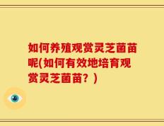 如何养殖观赏灵芝菌苗呢(如何有效地培育观赏灵芝菌苗？)