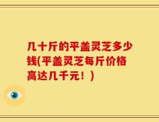 几十斤的平盖灵芝多少钱(平盖灵芝每斤价格高达几千元！)