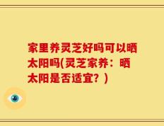 家里养灵芝好吗可以晒太阳吗(灵芝家养：晒太阳是否适宜？)