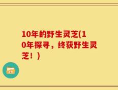 10年的野生灵芝(10年探寻，终获野生灵芝！)
