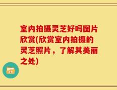 室内拍摄灵芝好吗图片欣赏(欣赏室内拍摄的灵芝照片，了解其美丽之处)
