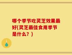 哪个季节吃灵芝效果最好(灵芝最佳食用季节是什么？)