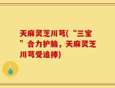 天麻灵芝川芎(“三宝”合力护脑，天麻灵芝川芎受追捧)