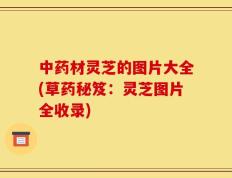 中药材灵芝的图片大全(草药秘笈：灵芝图片全收录)