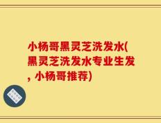 小杨哥黑灵芝洗发水(黑灵芝洗发水专业生发, 小杨哥推荐)