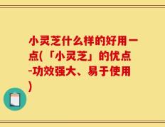 小灵芝什么样的好用一点(「小灵芝」的优点-功效强大、易于使用)
