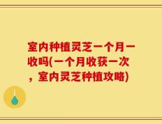 室内种植灵芝一个月一收吗(一个月收获一次，室内灵芝种植攻略)