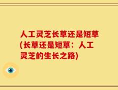 人工灵芝长草还是短草(长草还是短草：人工灵芝的生长之路)