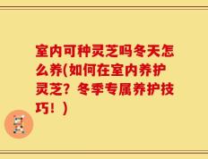 室内可种灵芝吗冬天怎么养(如何在室内养护灵芝？冬季专属养护技巧！)
