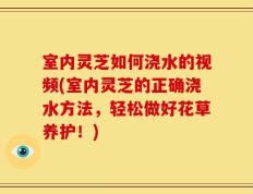 室内灵芝如何浇水的视频(室内灵芝的正确浇水方法，轻松做好花草养护！)