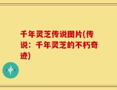 千年灵芝传说图片(传说：千年灵芝的不朽奇迹)