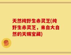 天然纯野生赤灵芝(纯野生赤灵芝，来自大自然的天赐宝藏)