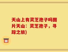 天山上有灵芝孢子吗图片天山：灵芝孢子，寻踪之旅)