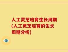 人工灵芝培育生长周期(人工灵芝培育的生长周期分析)