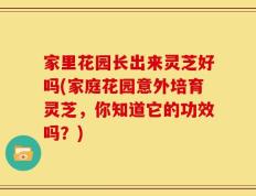 家里花园长出来灵芝好吗(家庭花园意外培育灵芝，你知道它的功效吗？)