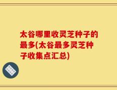 太谷哪里收灵芝种子的最多(太谷最多灵芝种子收集点汇总)