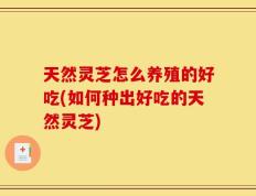天然灵芝怎么养殖的好吃(如何种出好吃的天然灵芝)