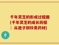 千年灵芝的形成过程图(千年灵芝的成长历程：从孢子到珍贵药材)