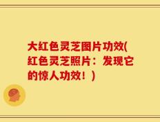 大红色灵芝图片功效(红色灵芝照片：发现它的惊人功效！)