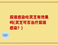 尿道感染吃灵芝有效果吗(灵芝可否治疗尿道感染？)