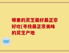 哪里的灵芝最好最正宗好吃(寻找最正宗美味的灵芝产地