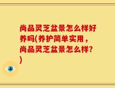 尚品灵芝盆景怎么样好养吗(养护简单实用，尚品灵芝盆景怎么样？)