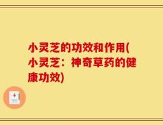 小灵芝的功效和作用(小灵芝：神奇草药的健康功效)