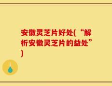 安徽灵芝片好处(“解析安徽灵芝片的益处”)