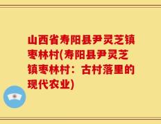 山西省寿阳县尹灵芝镇枣林村(寿阳县尹灵芝镇枣林村：古村落里的现代农业)