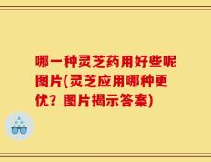 哪一种灵芝药用好些呢图片(灵芝应用哪种更优？图片揭示答案)