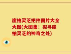 崖柏灵芝把件图片大全大图(大图集：探寻崖柏灵芝的神奇之处)