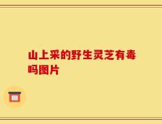 山上采的野生灵芝有毒吗图片
