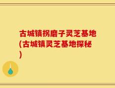 古城镇拐磨子灵芝基地(古城镇灵芝基地探秘)