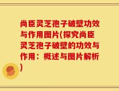 尚臣灵芝孢子破壁功效与作用图片(探究尚臣灵芝孢子破壁的功效与作用：概述与图片解析)