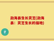 勐海县生长灵芝(勐海县：灵芝生长的福地)