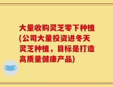 大量收购灵芝零下种植(公司大量投资进冬天灵芝种植，目标是打造高质量健康产品)