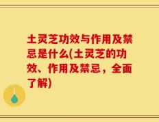 土灵芝功效与作用及禁忌是什么(土灵芝的功效、作用及禁忌，全面了解)