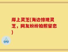岸上灵芝(海边惊现灵芝，网友纷纷拍照留恋)